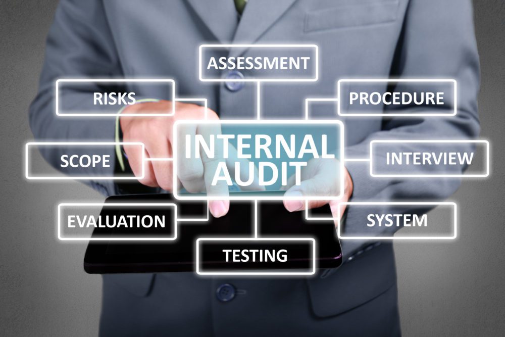 Internal Audit Support