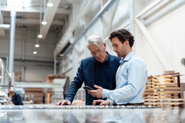 ISO 9001 Quality Management System Certification Support